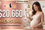 Asignación por embarazo $20,660 mensuales, requisitos de inscripción y cronograma de pagos marzo–abril